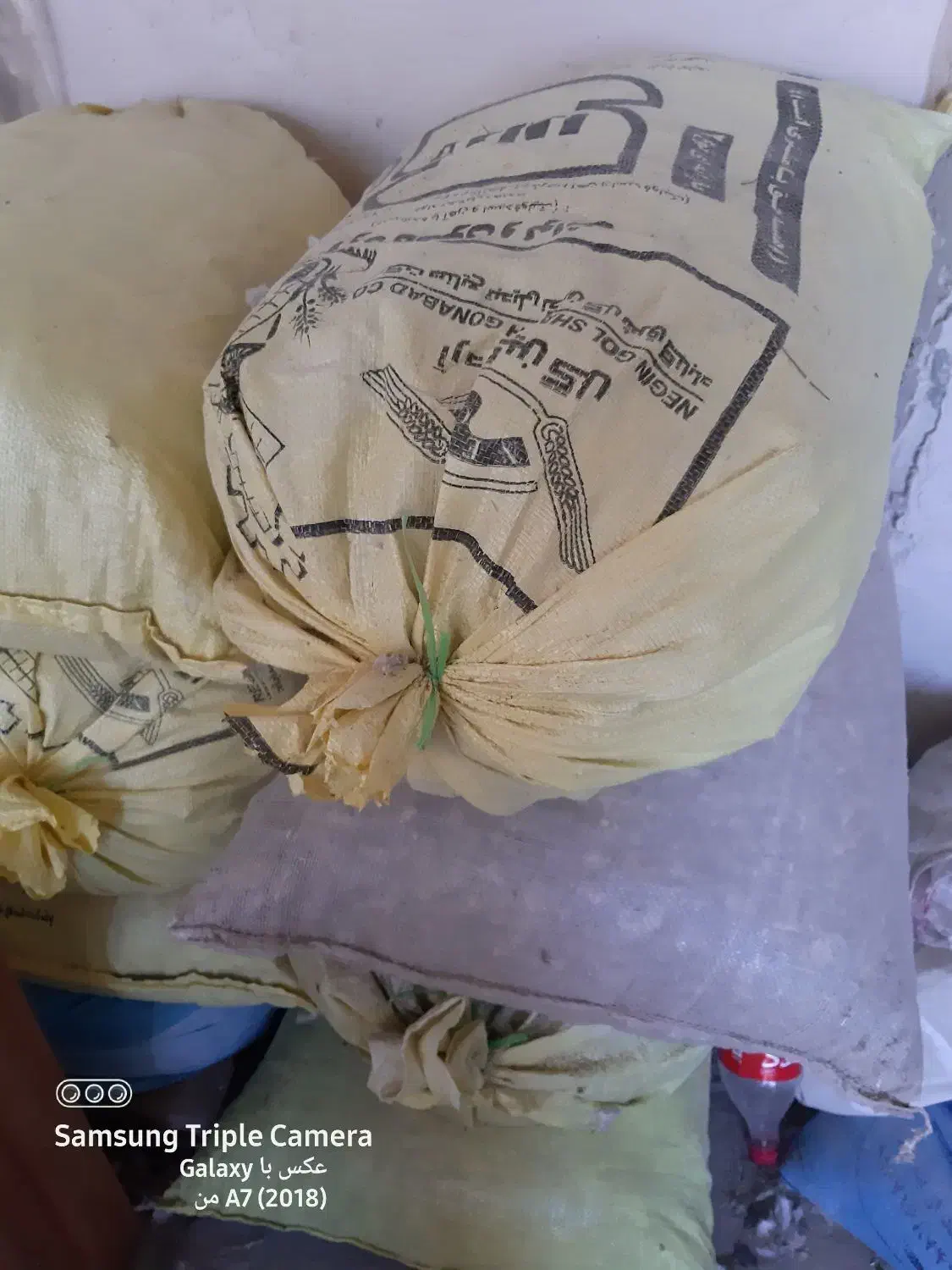 ۴۹تا کیسه کود کبوتر|خدمات باغبانی و درختکاری|تربتحیدریه, جانبازان|دیوار