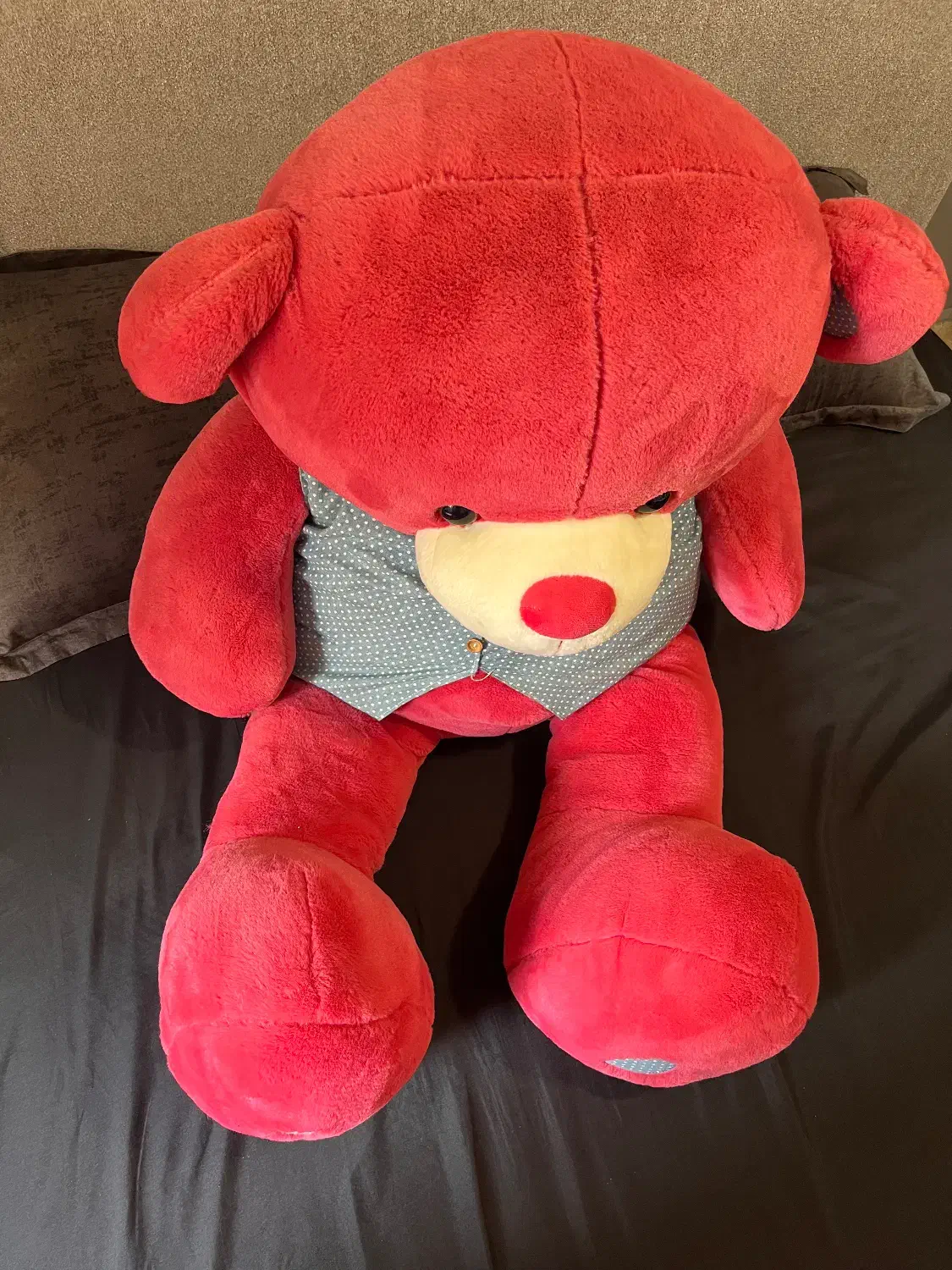 عروسک خرس|اسباب‌‌بازی|گرگان, |دیوار