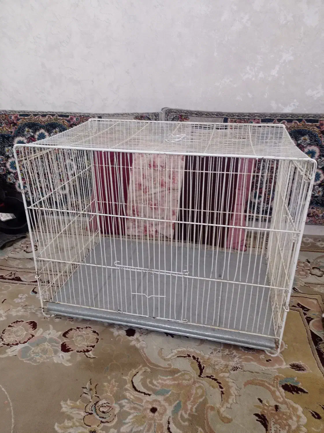 قفس وپرنده|پرنده|مشهد, رستگار|دیوار