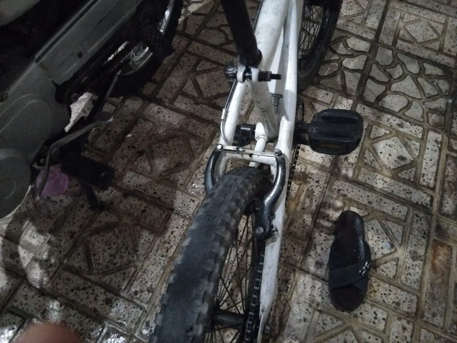 دوچرخه|دوچرخه، اسکیت، اسکوتر|تهران, طیب|دیوار