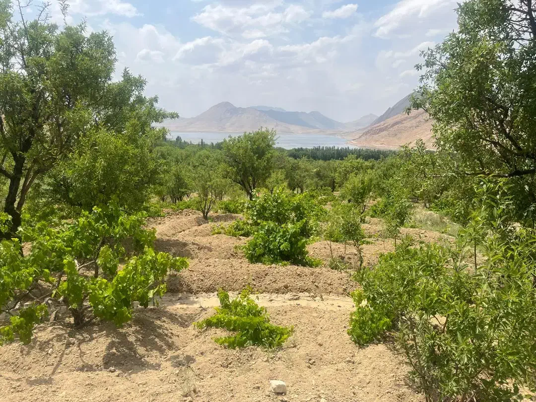 فروش باغ ۲۰۰۰ متری با ویو تالاب چغاخور|فروش زمین و ملک کلنگی|بلداجی, |دیوار