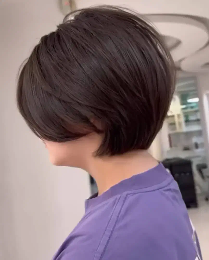 مدل رایگان کوتاهی|خدمات آرایشگری و زیبایی|رشت, معلم|دیوار