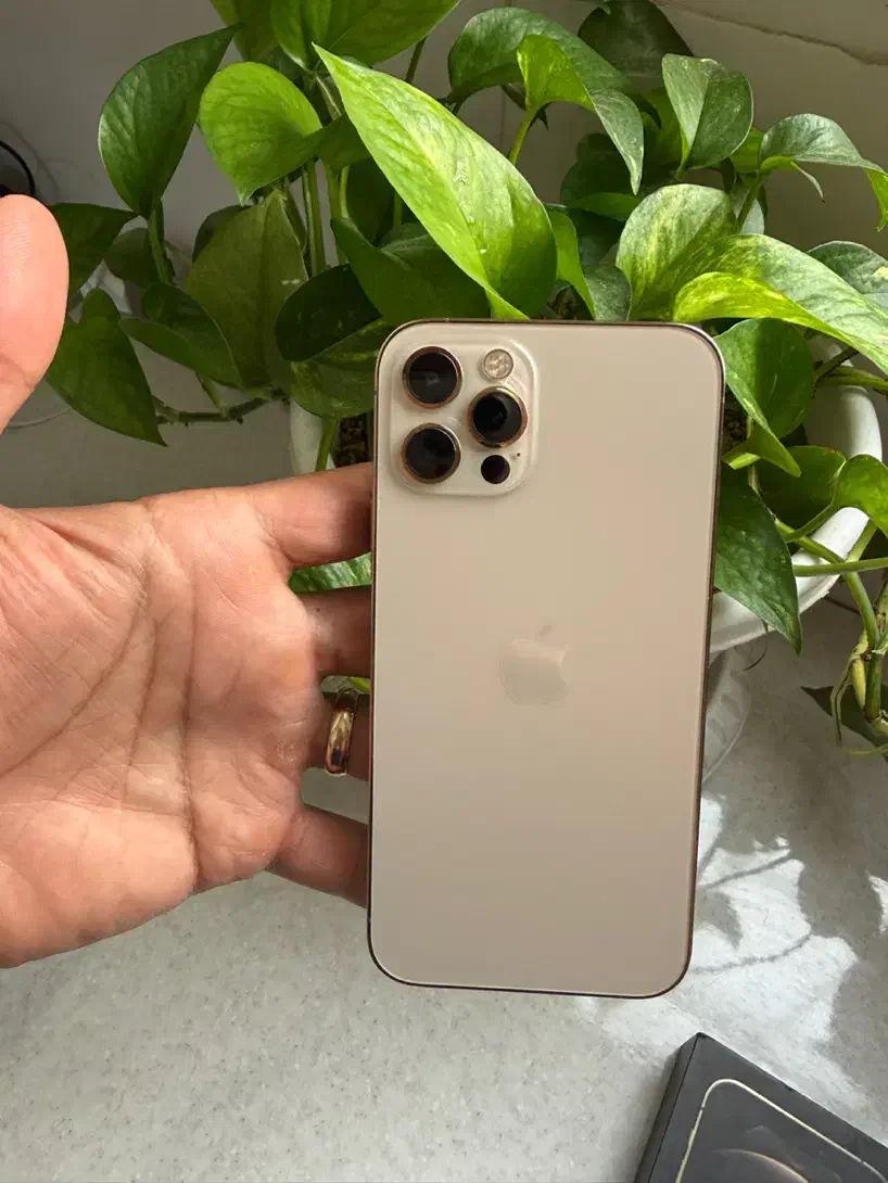 Iphone 12 Pro 256/Za|موبایل|دزفول, |دیوار