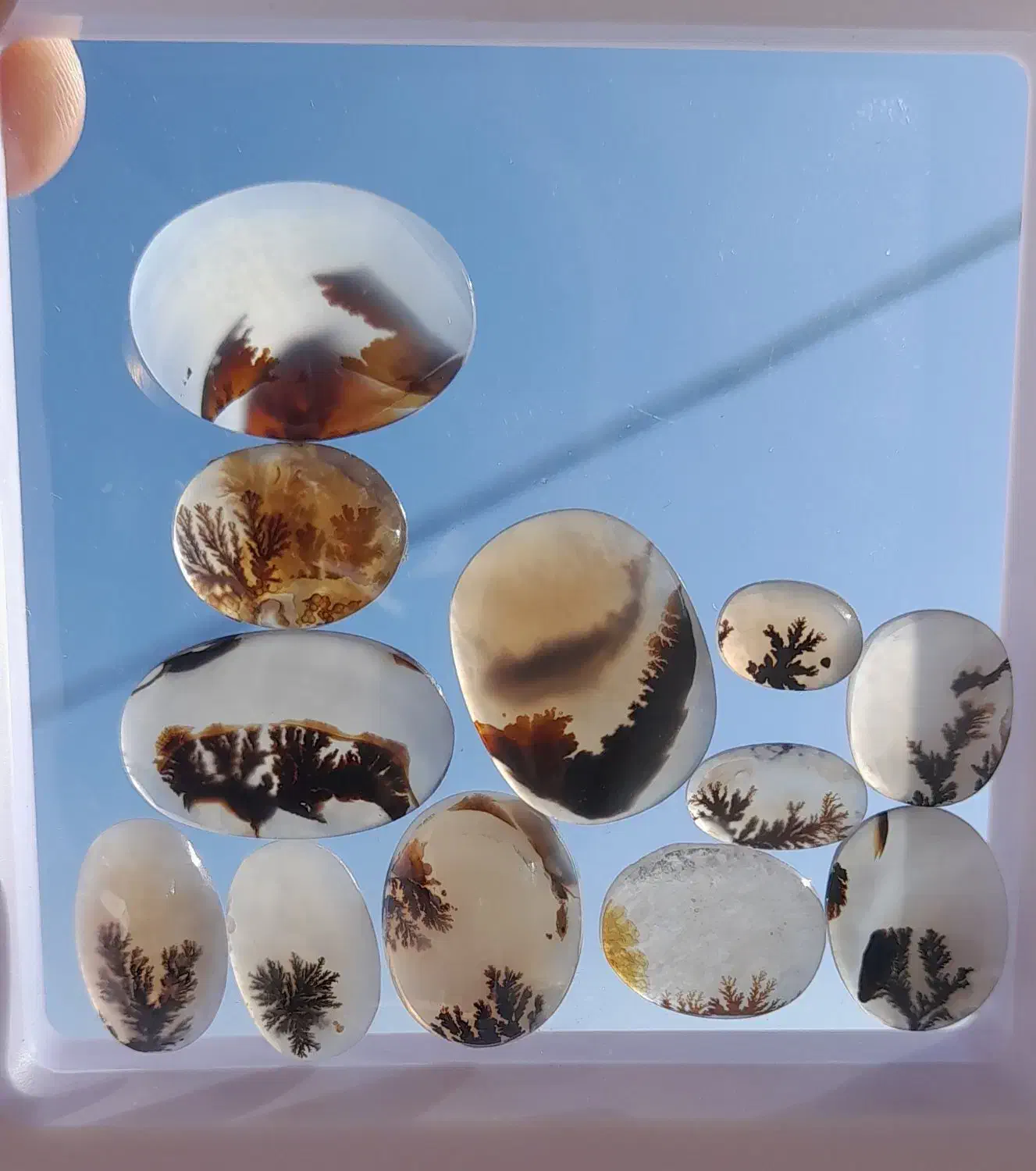 کلکسیون عتیقه سنگ شجر معاوضه با انگشتر شجر زبرجد|کلکسیون اشیاء عتیقه|زنجان, |دیوار