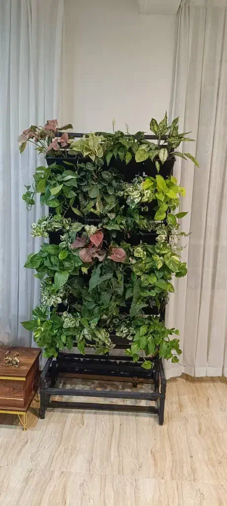 دیوار سبز گرین وال  هوشمند|خدمات پیشه و مهارت|تهران, شهرک کوهسار|دیوار