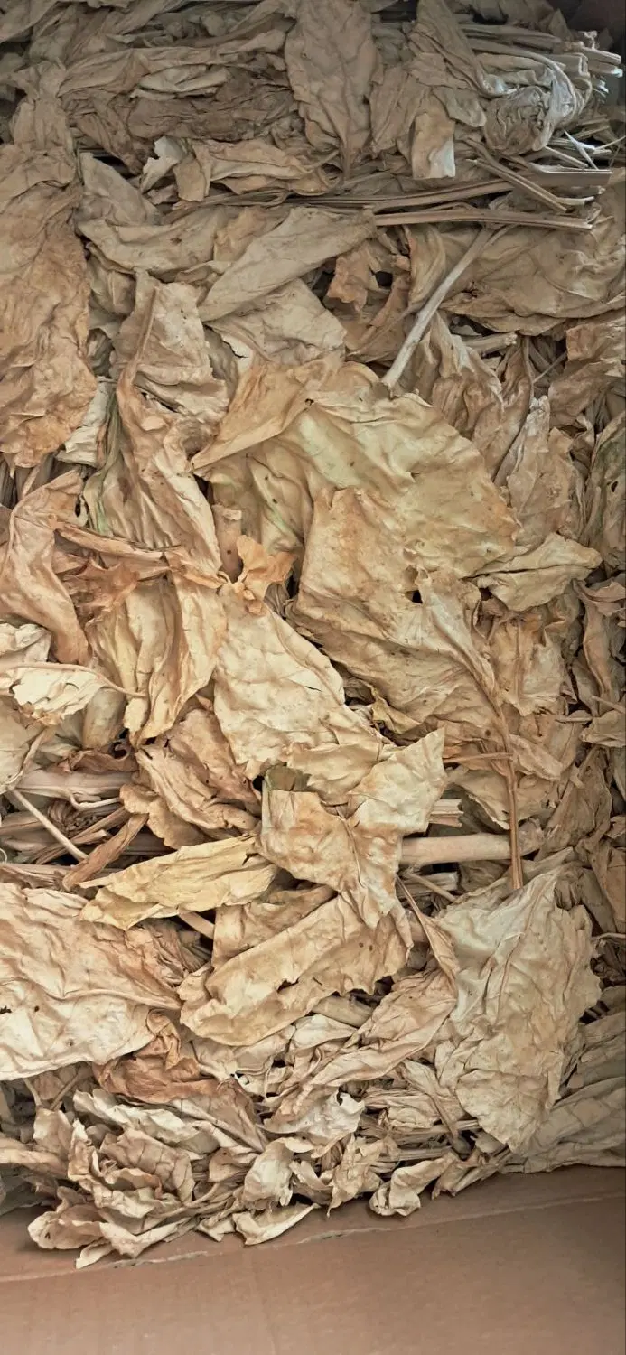 برگ زرد|خوردنی و آشامیدنی|بوشکان, |دیوار