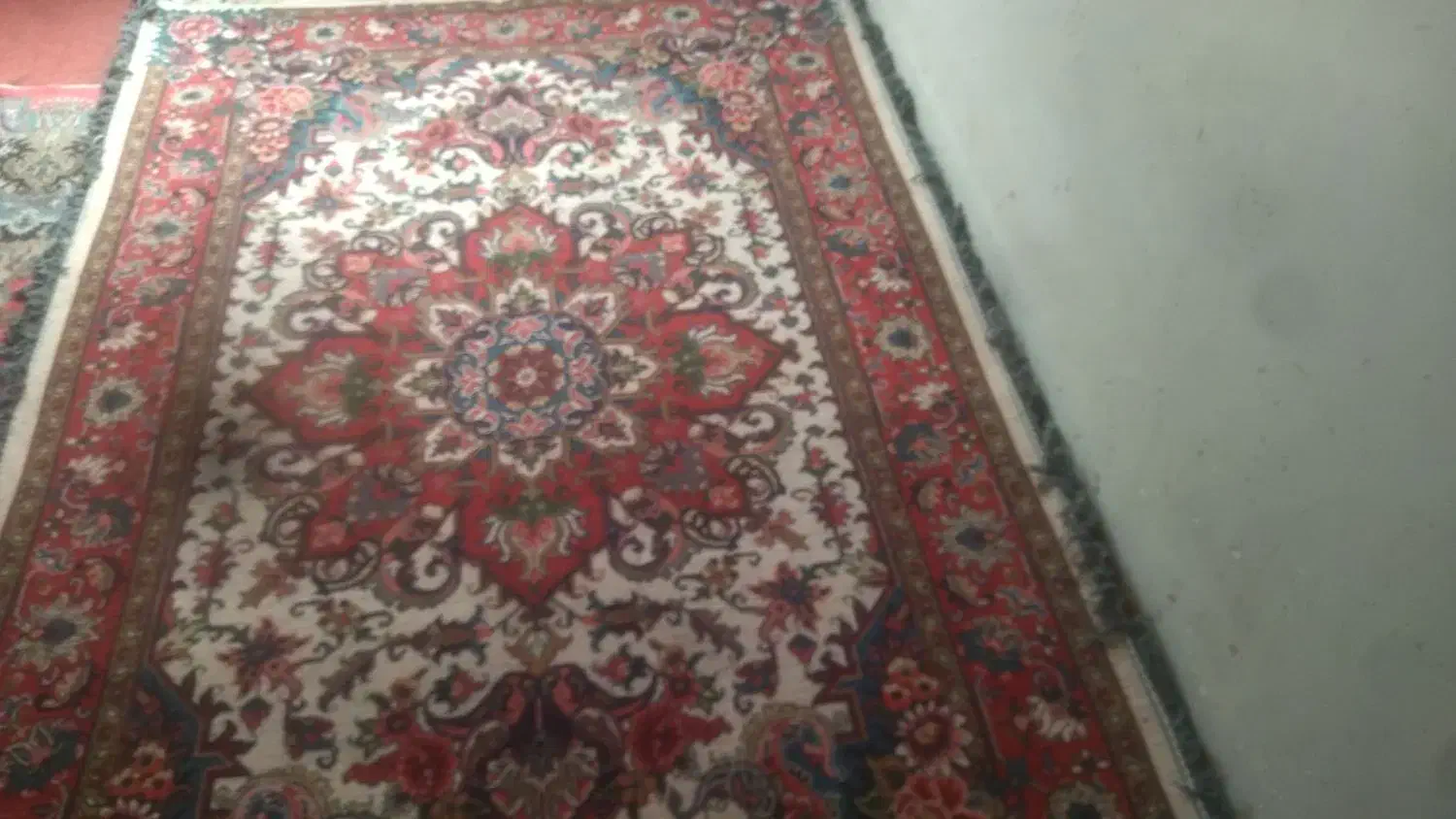 یک جفت فرش دستباف سالاری|فرش|تبریز, |دیوار