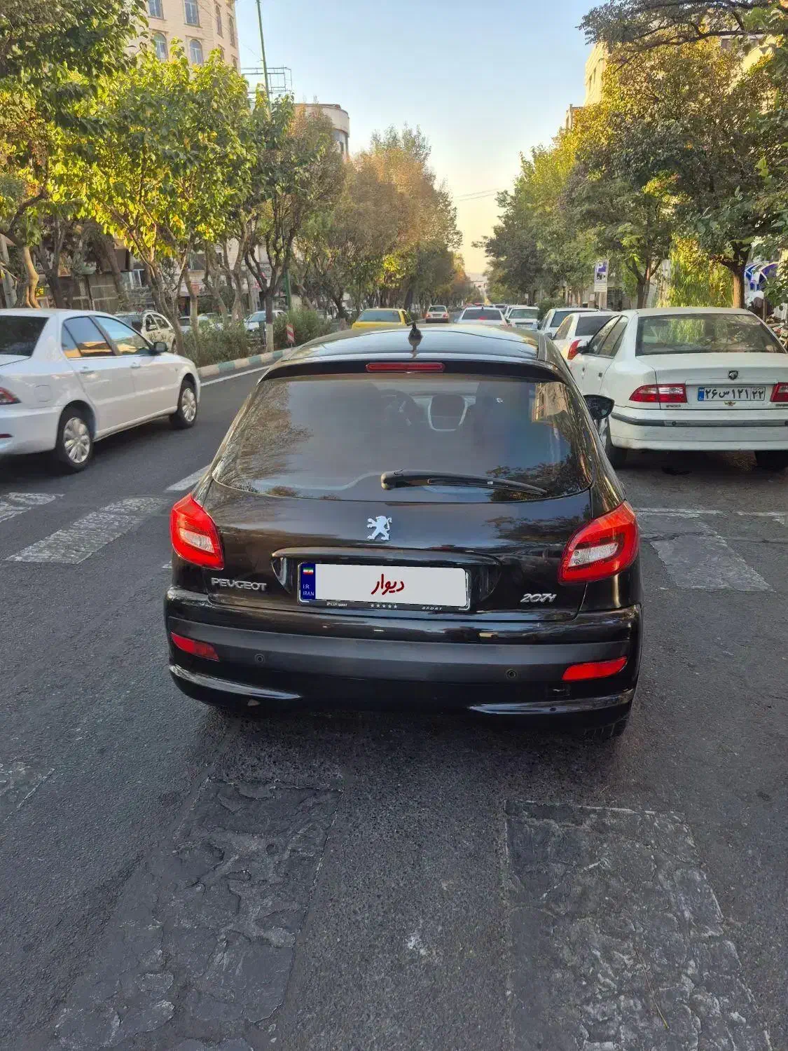 ۲۰۷ پانا بی رنگ ۴۰۱|خودرو سواری و وانت|تهران, جماران (نیاوران)|دیوار