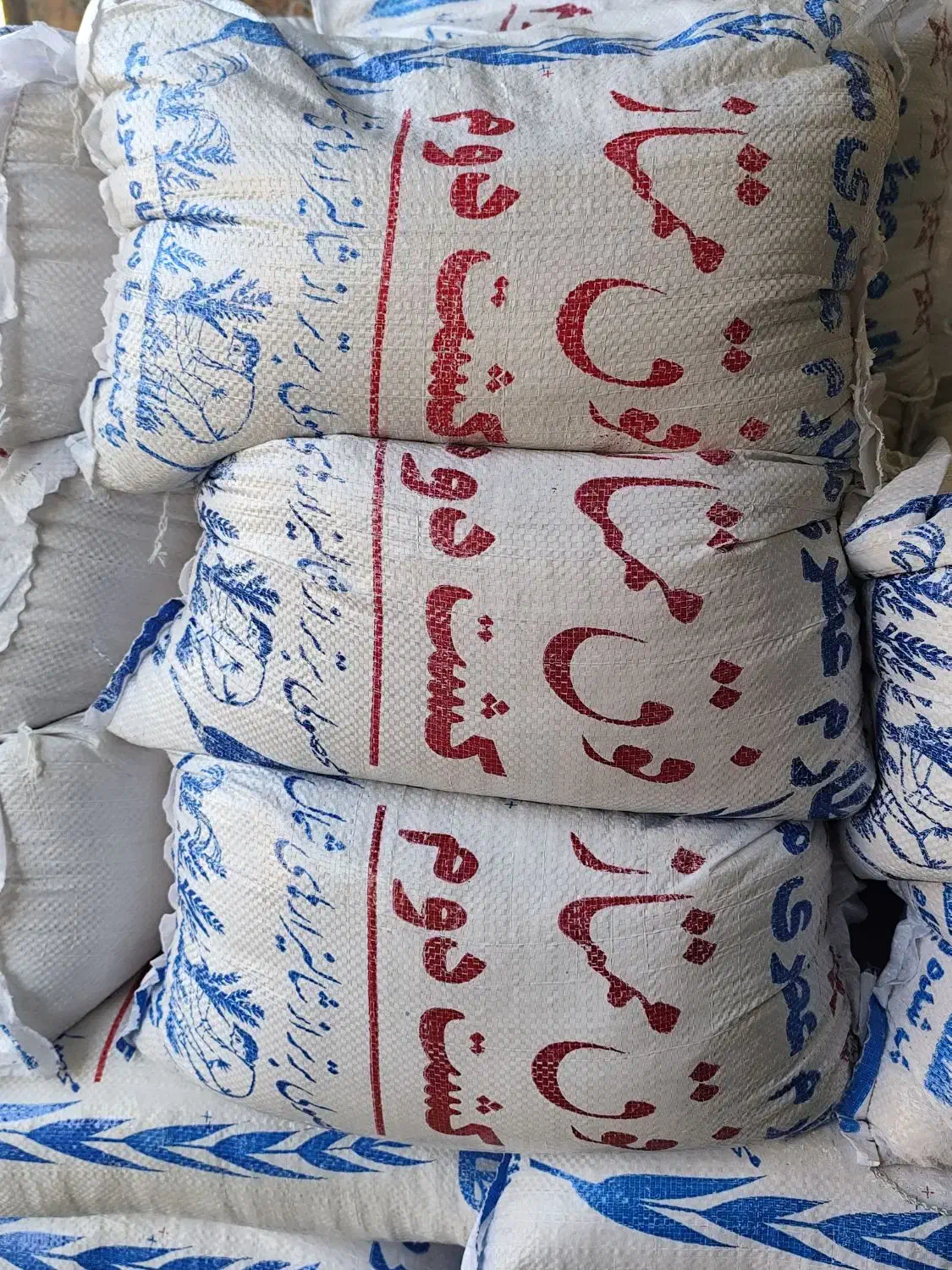 برنج به قیمت عمده مستقیم از شالیزار|خوردنی و آشامیدنی|مراغه, |دیوار