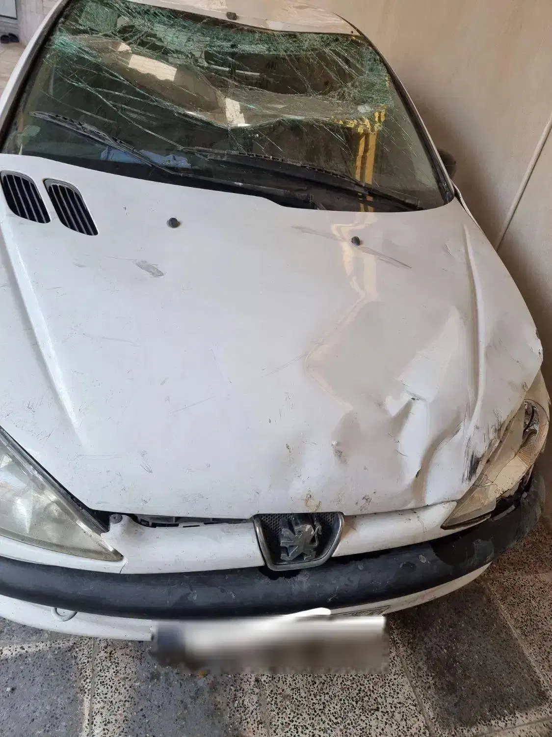 ۲۰۶ تصادفی|خودرو سواری و وانت|بوشهر, |دیوار