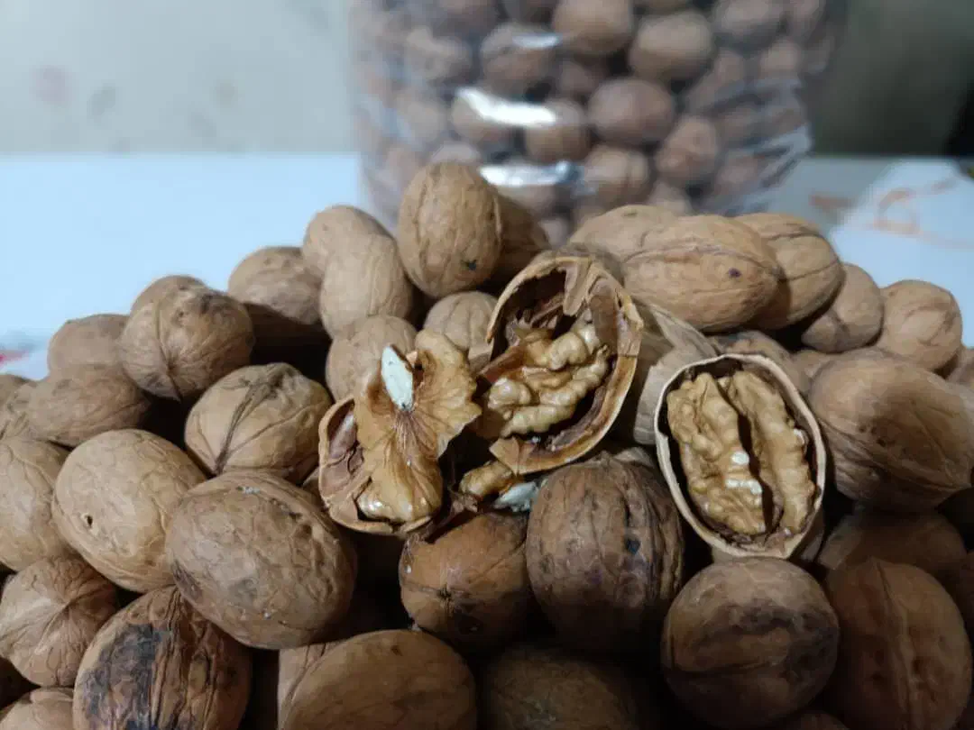 گردو تویسیرکان کیلو ۳۵۰تومن|خوردنی و آشامیدنی|جهرم, |دیوار