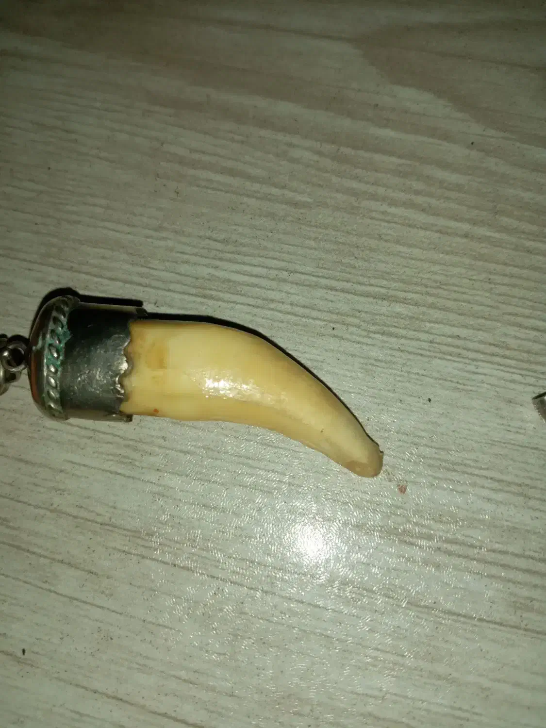 دندان نقره|جواهرات|رشت, جانبازان|دیوار