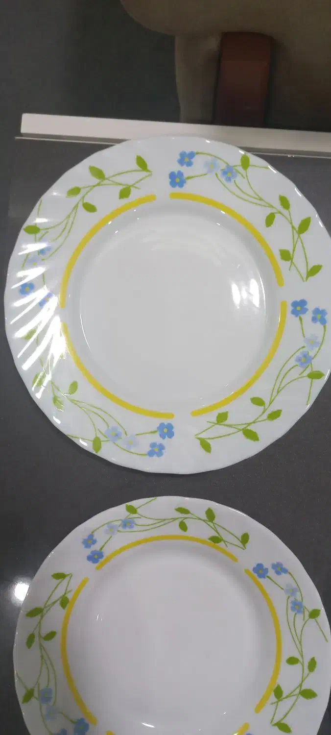 سرویس غذاخوری ۱۲ نفره پارس اپال|ظروف سرو و پذیرایی|چابهار, |دیوار