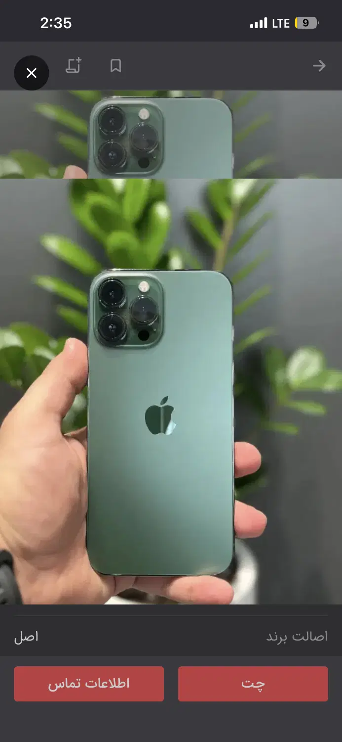 iphone 13 pro|موبایل|مشهد, کوشش|دیوار
