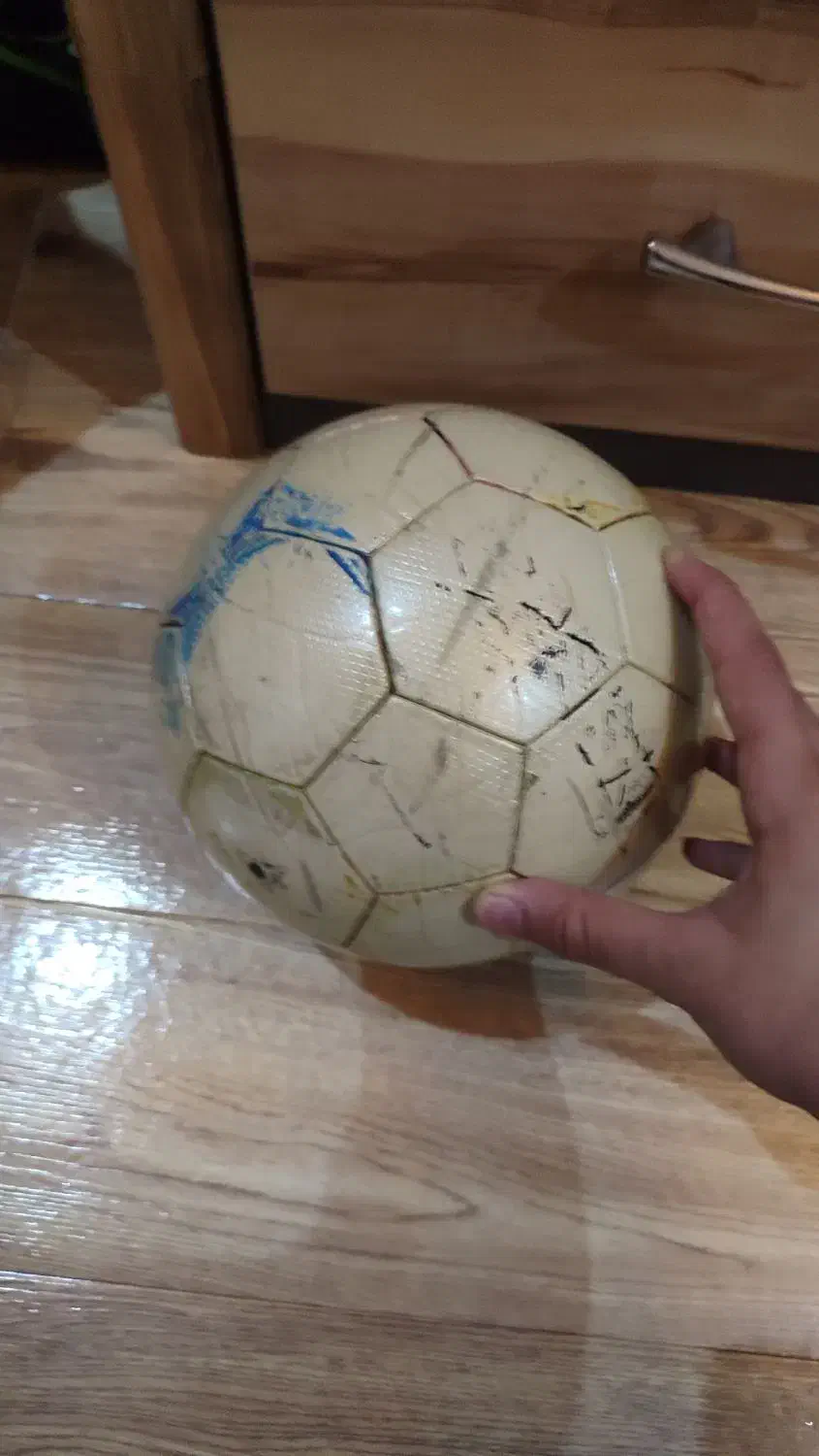 توپ فوتبال سایز ۵|ورزش‌های توپی|فردیس, منظریه|دیوار