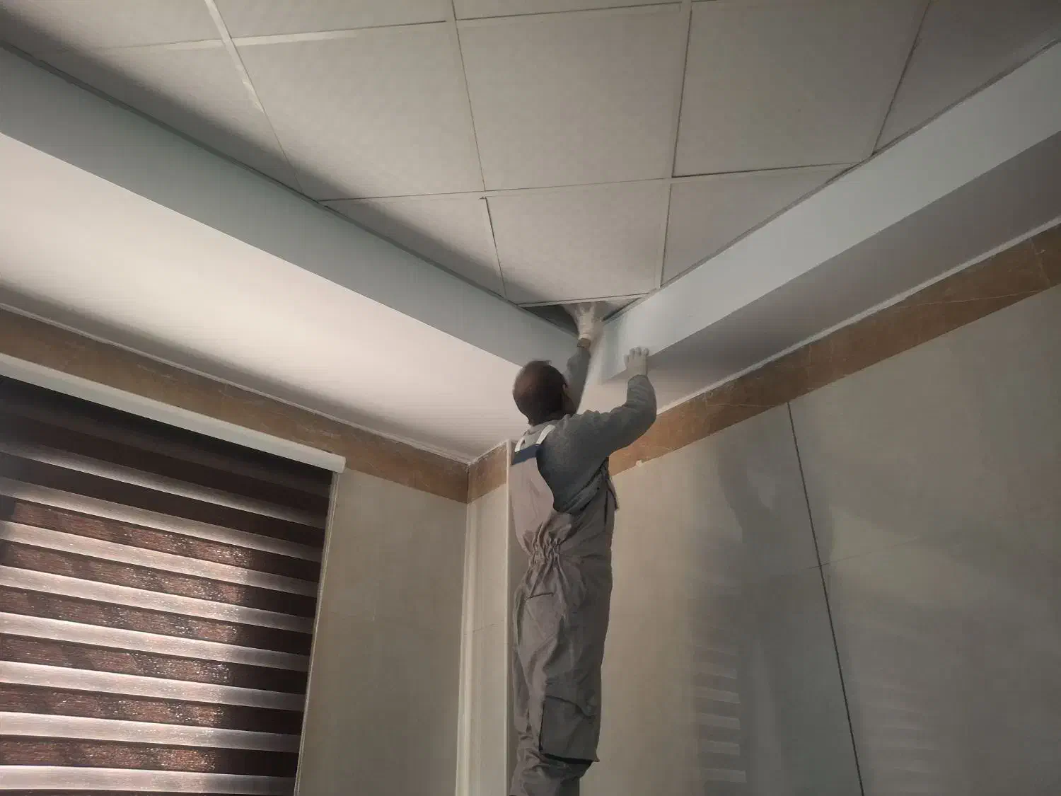 سمپاشی و کنترل آفات مشاوره رایگان|خدمات پیشه و مهارت|تهران, والفجر (افسریه)|دیوار