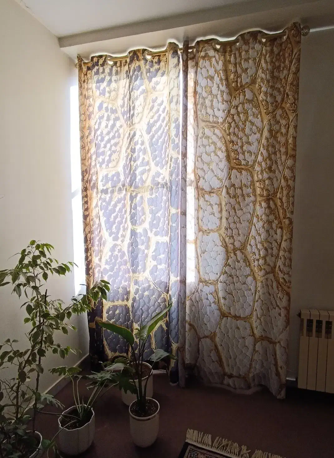 سه عدد پرده پانچی آماده همراه چوب پرده|پرده، رانر، رومیزی|کرج, گلشهر|دیوار