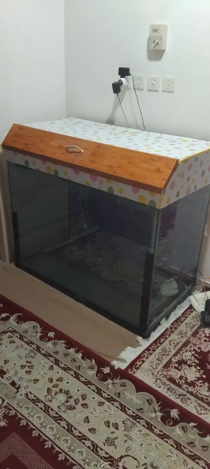 اکواریوم|ماهیگیری|بهبهان, |دیوار