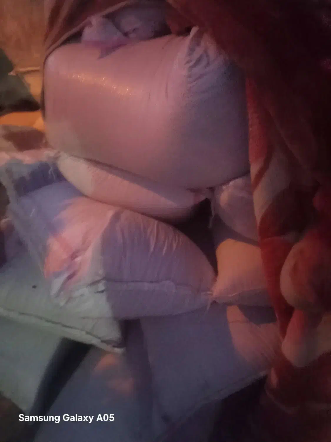 ۴۰ کیسه گندم شبرنگ بجاری شده زیر قیمت دولتی|حراج|سرپل ذهاب, |دیوار