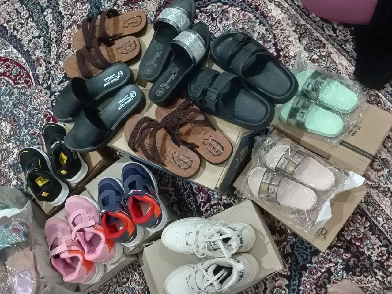 کفش|کیف، کفش، کمربند|تربت جام, جامرود|دیوار