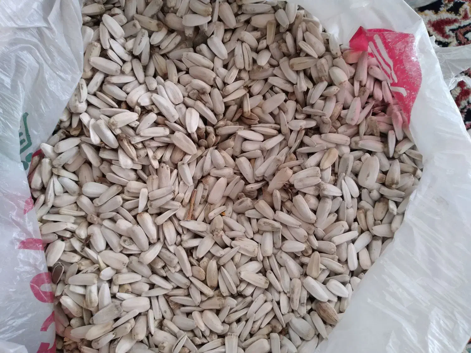 تخمه آفتابگردان درجه یک کلی|خوردنی و آشامیدنی|نیشابور, شهرک قدس|دیوار