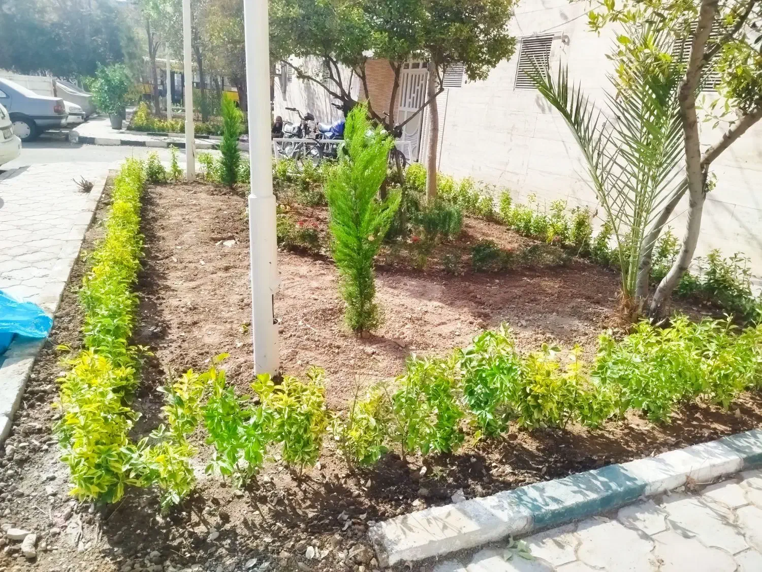 خدمات باغبانی سیار گل کاری سم پاشی تعویض خاک گلدان|خدمات باغبانی و درختکاری|تهران, شهرک غرب|دیوار