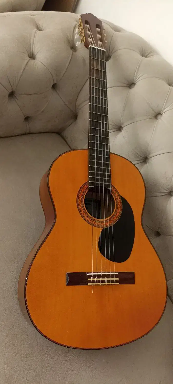 گیتار یاماها اصل اندونزی|گیتار، بیس، امپلیفایر|مشهد, خواجه ربیع|دیوار