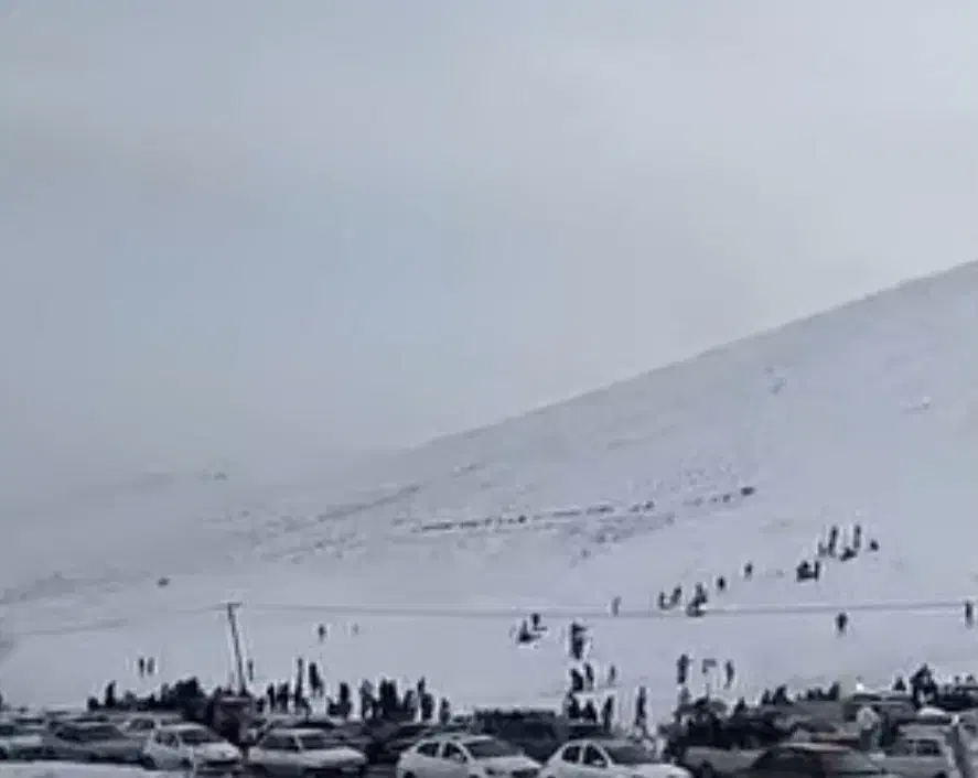 زمین زراعی|فروش دفتر صنعتی، کشاورزی، تجاری|فیرورق, |دیوار