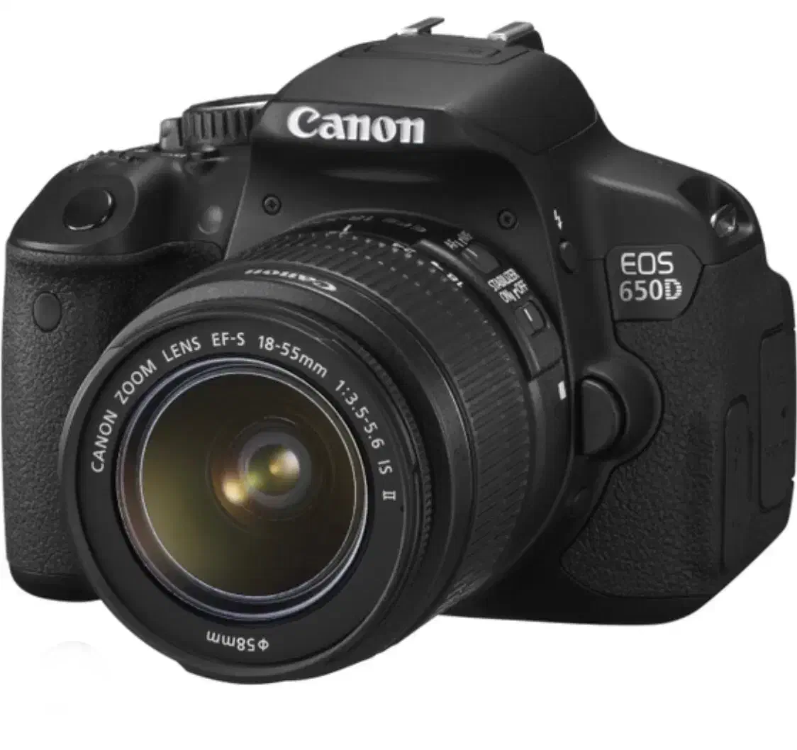 دوربین عکاسی|دوربین عکاسی و فیلم‌برداری|کیش, |دیوار