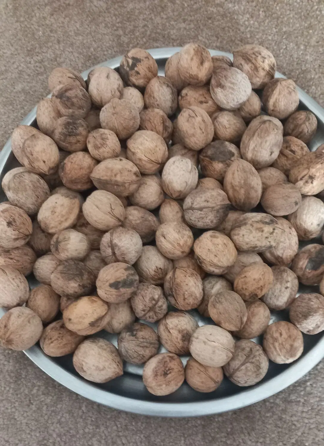 گردو|خوردنی و آشامیدنی|مرند, |دیوار