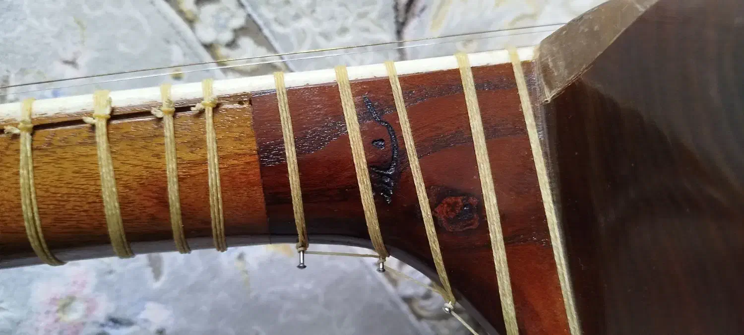 تار یک مهر کشاورز|سازهای سنتی|اصفهان, بهارستان|دیوار