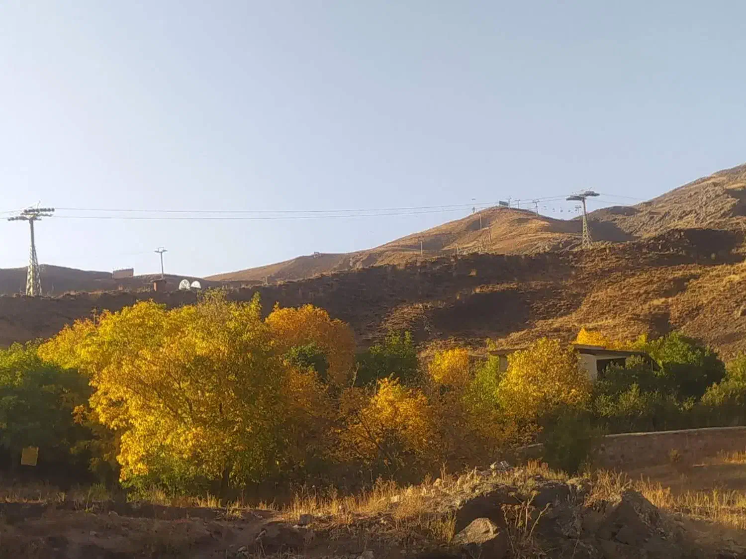 باغ گردو و آلبالو|فروش زمین و ملک کلنگی|شمشک, |دیوار