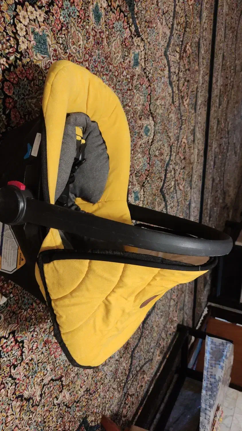 کریر|کالسکه و لوازم جانبی|کرمان, |دیوار