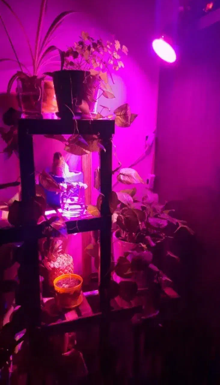 لامپ رشد گیاه ۱۲ وات|لامپ و چراغ|تهران, تهرانویلا|دیوار