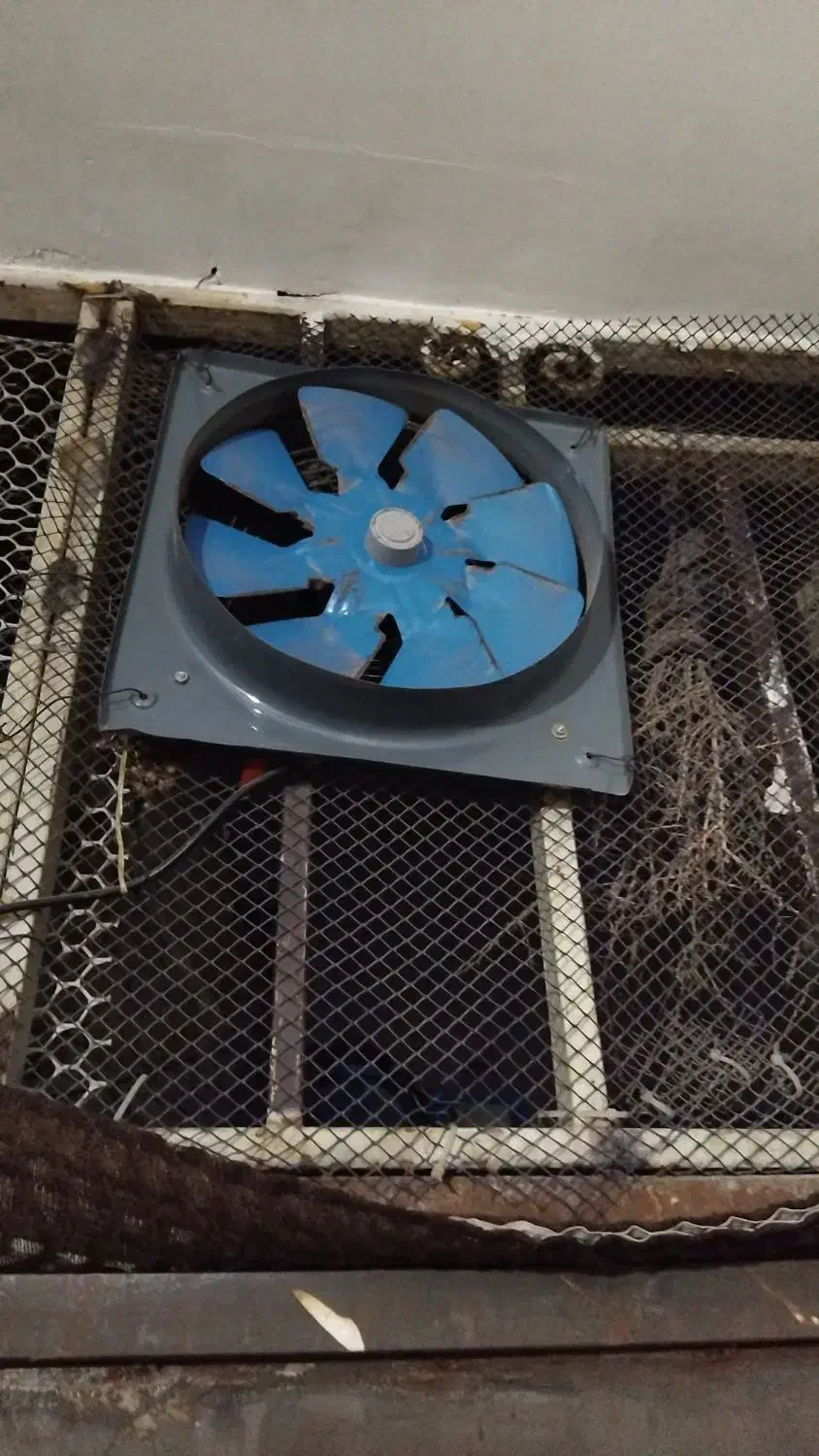 هوا کش|پنکه و تصفیه‌کنندهٔ هوا|گلستان (تهران), |دیوار