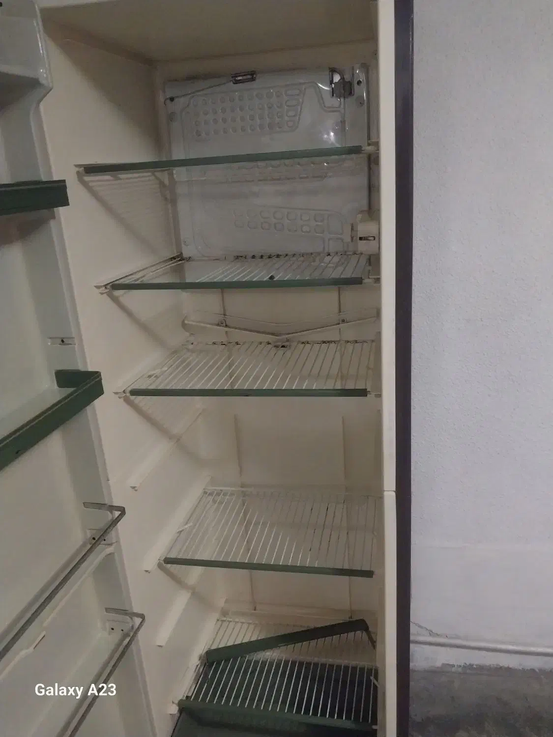 یخچال|یخچال و فریزر|تهران, زعفرانیه|دیوار