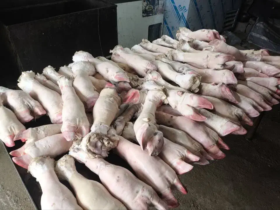 پاچه گوساله درجه ۱|خوردنی و آشامیدنی|اصفهان, سرتاوه|دیوار