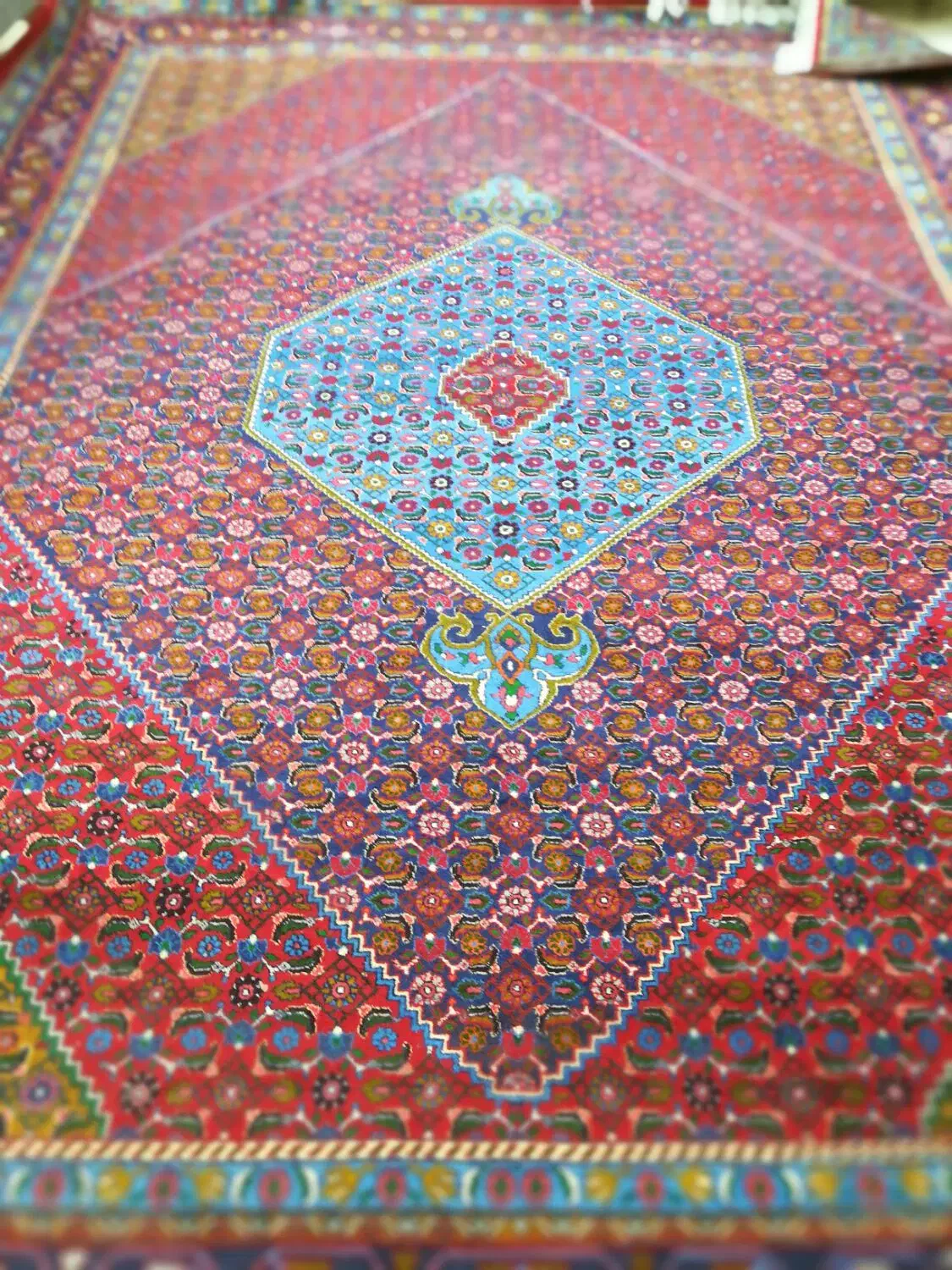 فرش|فرش|زنجان, |دیوار