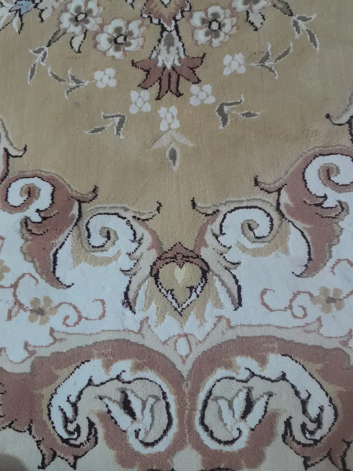 فرش ۱۲متری|فرش|تربت‌حیدریه, پائین ولایت|دیوار