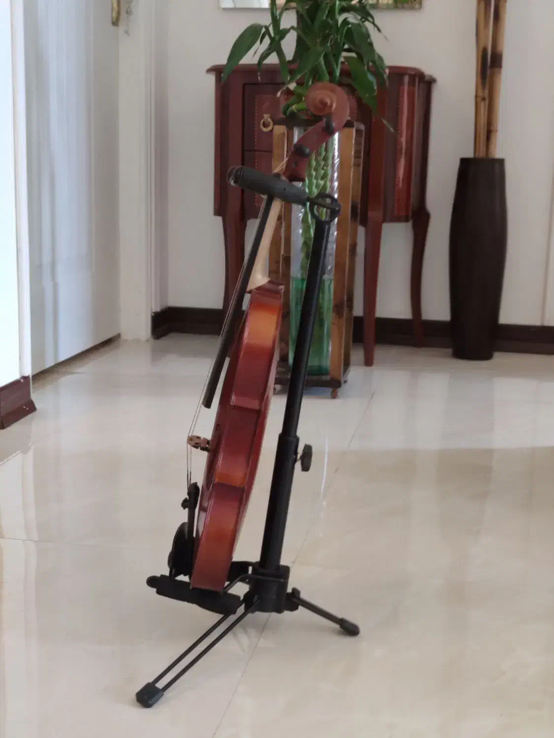 رناتو 120دسته|ویولن|بابل, |دیوار