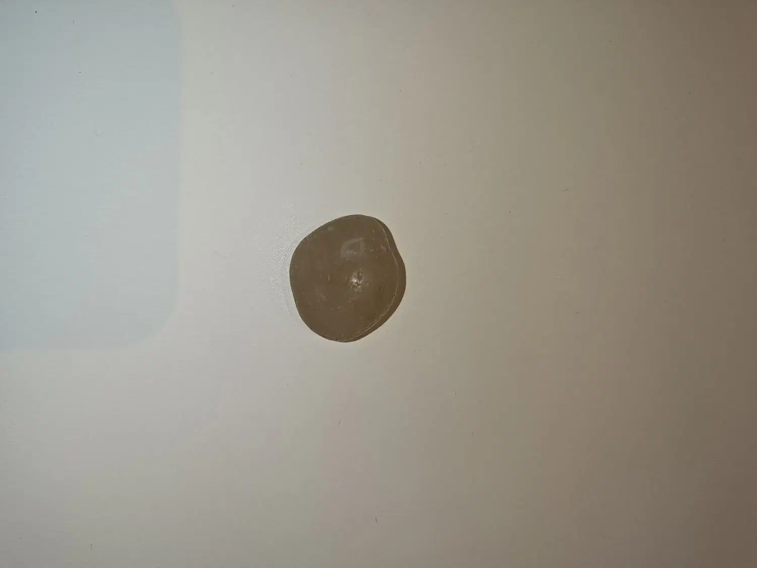 سنگ شیشهای|کلکسیون اشیاء عتیقه|پارسآباد, |دیوار