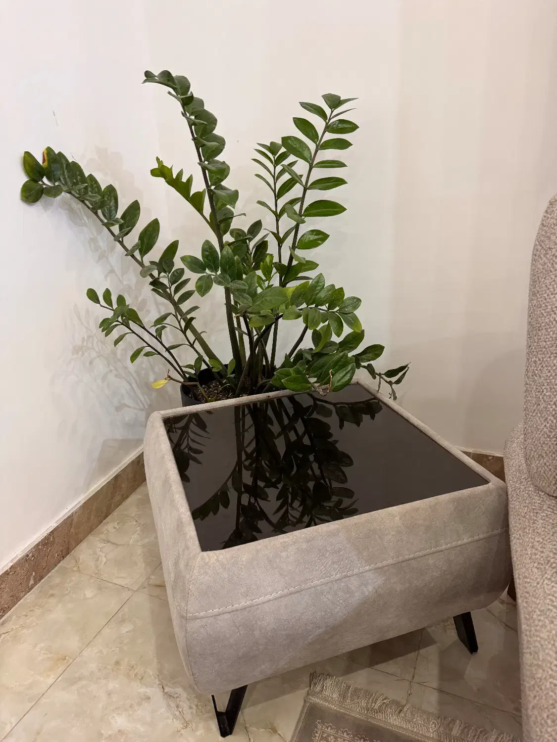 ۳عدد میز|مبلمان خانگی و میز عسلی|لنگرود, |دیوار