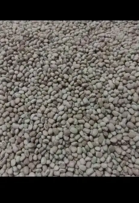 ماش ارتشی ولوبیا ریزه آشی|خوردنی و آشامیدنی|دره شهر, |دیوار