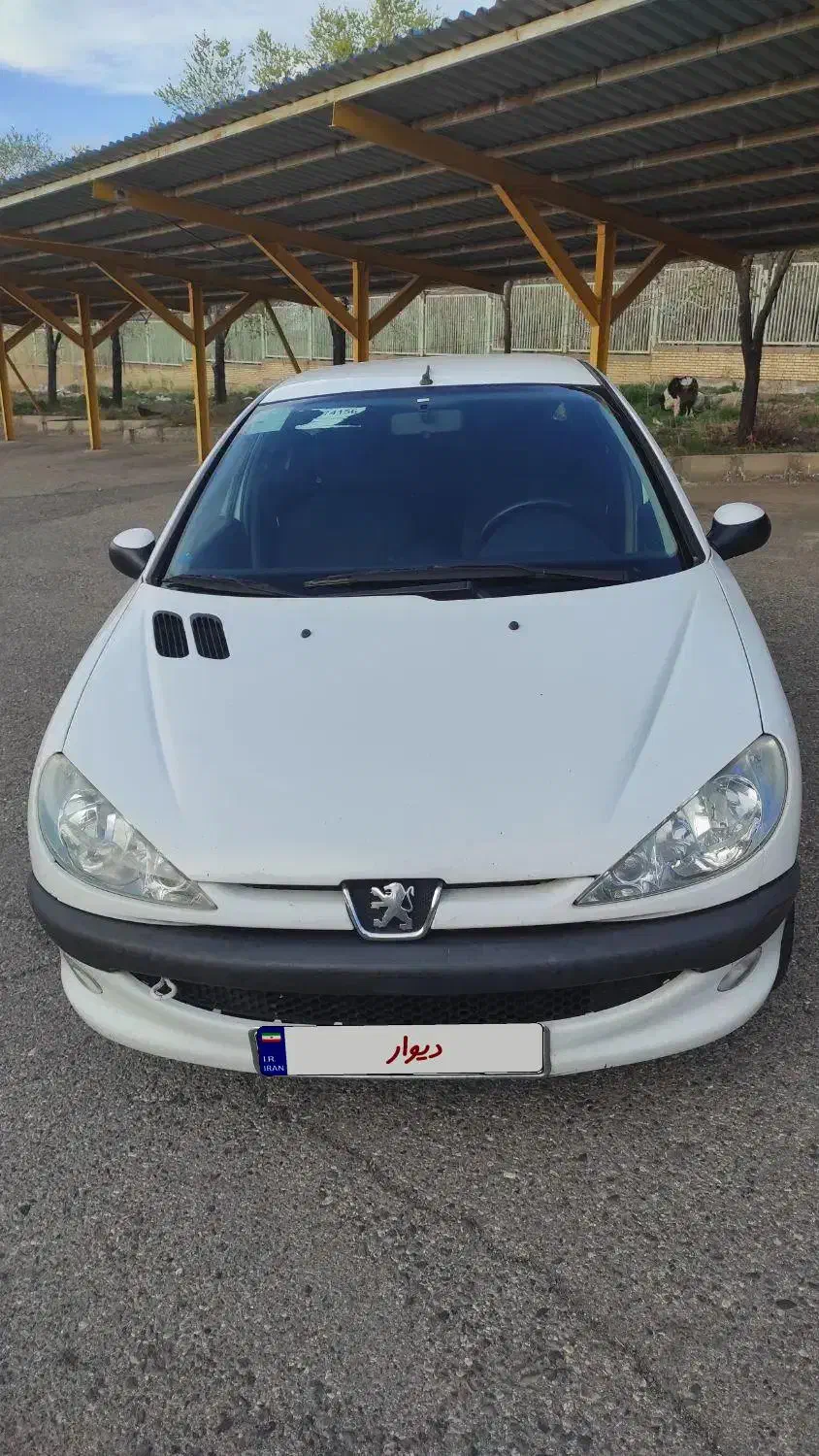 پژو ۲۰۶ SD V8 تمیز|خودرو سواری و وانت|رفسنجان, |دیوار