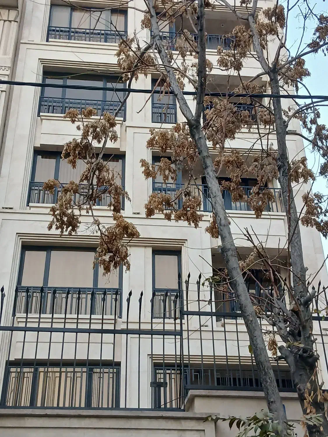 سازمان برنامه شمالی ۱۴۰ متر تک واحدی اکازیون|اجارهٔ آپارتمان|تهران, سازمان برنامه شمالی|دیوار