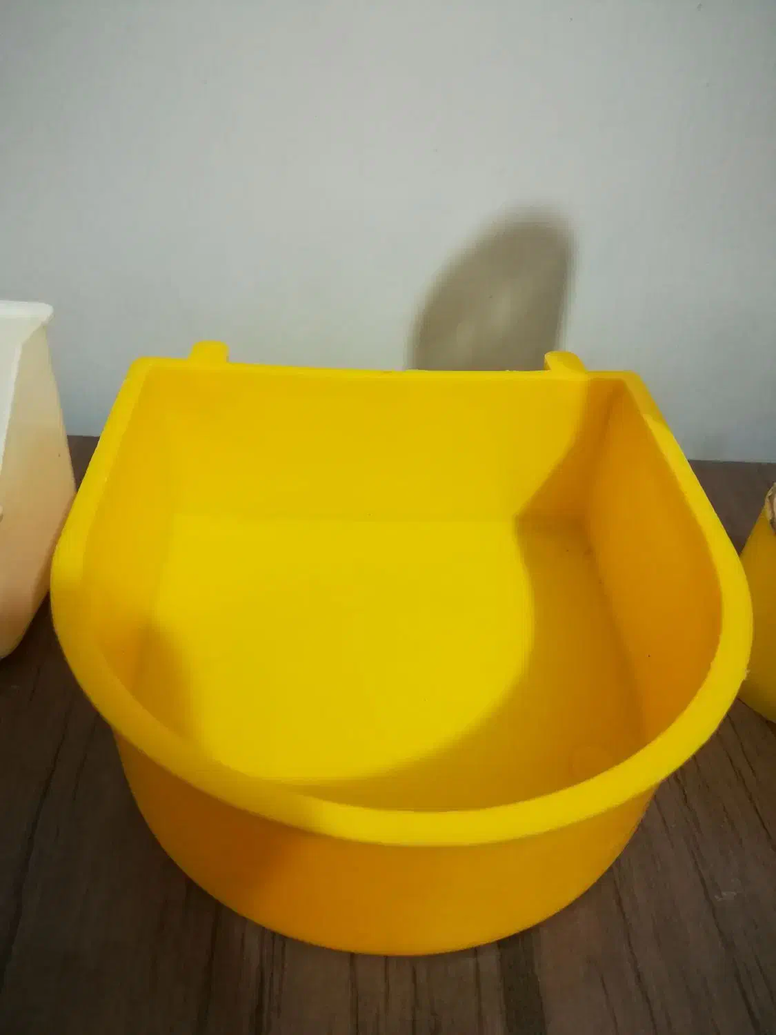 لوازم پرنده و قفس|لوازم جانبی حیوانات|کرمانشاه, |دیوار