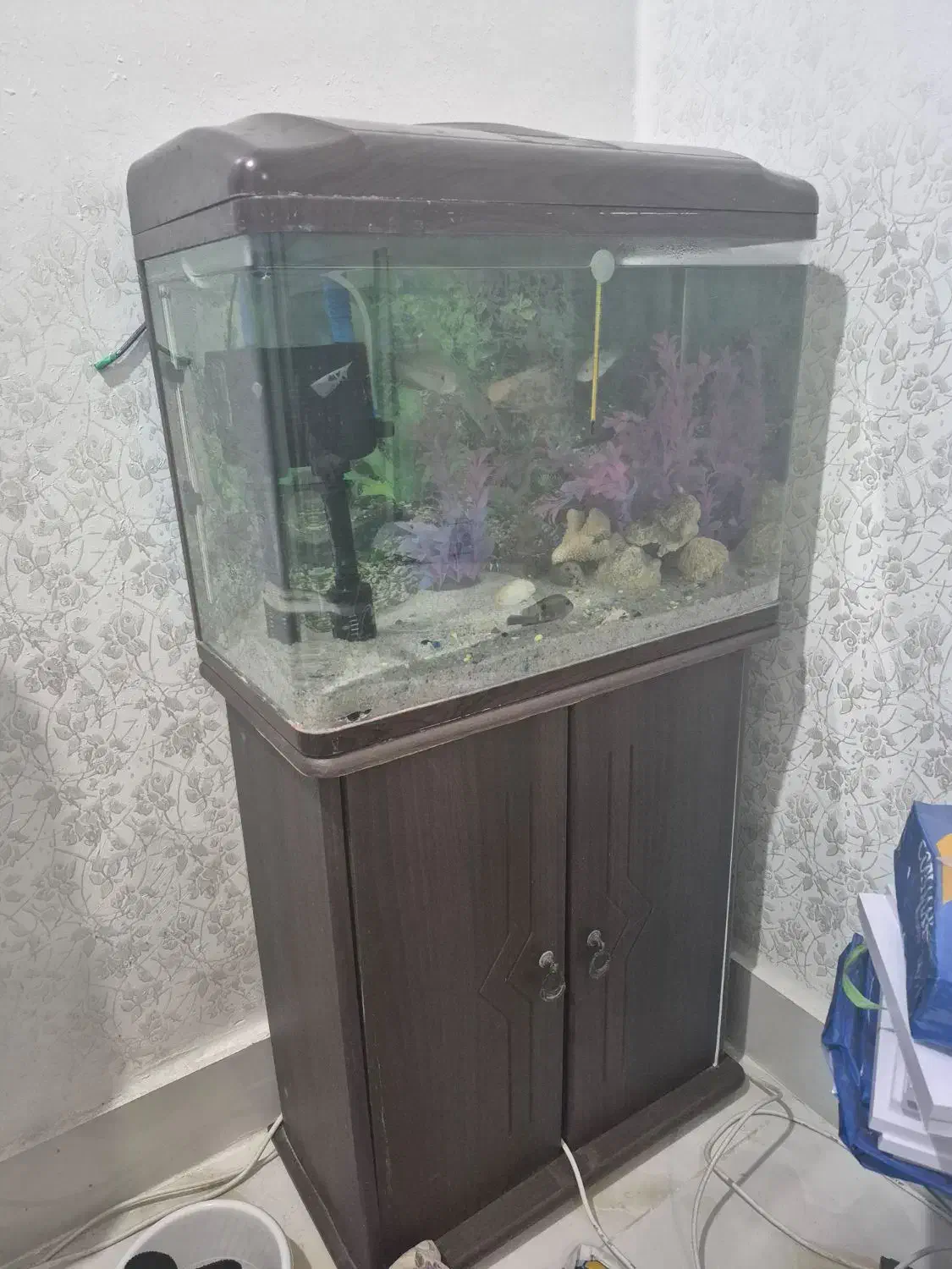 فروش اکواریوم شرکت دلسا|ماهی|باوی, |دیوار