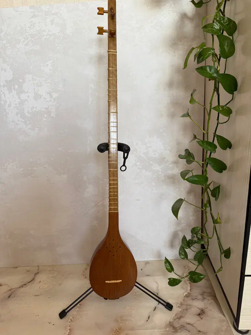 سه تار مهر هاتف به همراه کاور|سازهای سنتی|مشهد, شهید فرامرز عباسی|دیوار