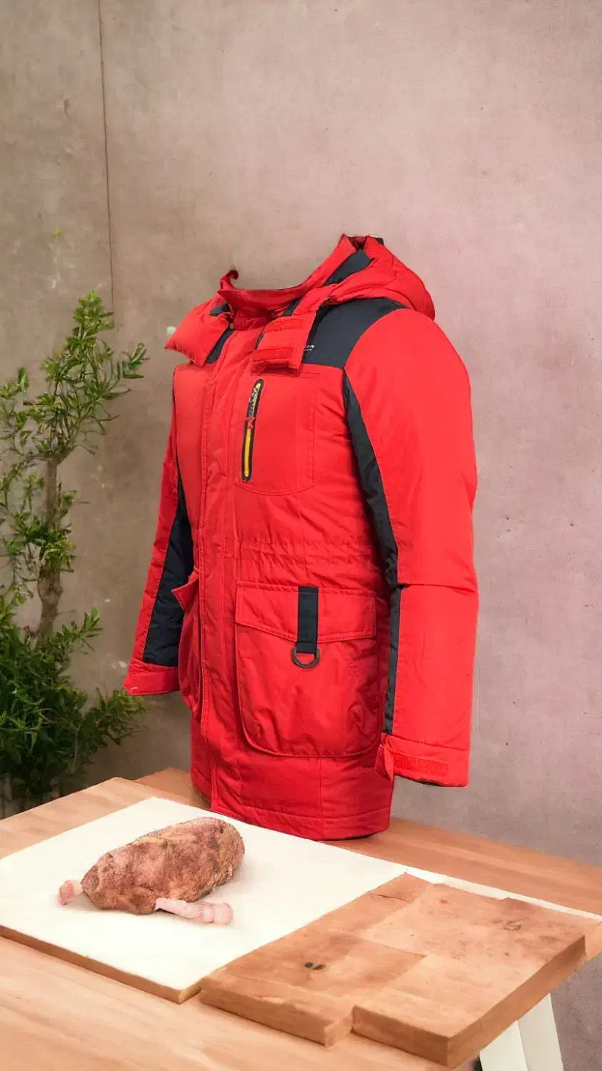 کاپشن پر حرفه ای برند اورجینال MOUNTAIN|ورزشهای زمستانی|مشهد, شهید فرامرز عباسی|دیوار