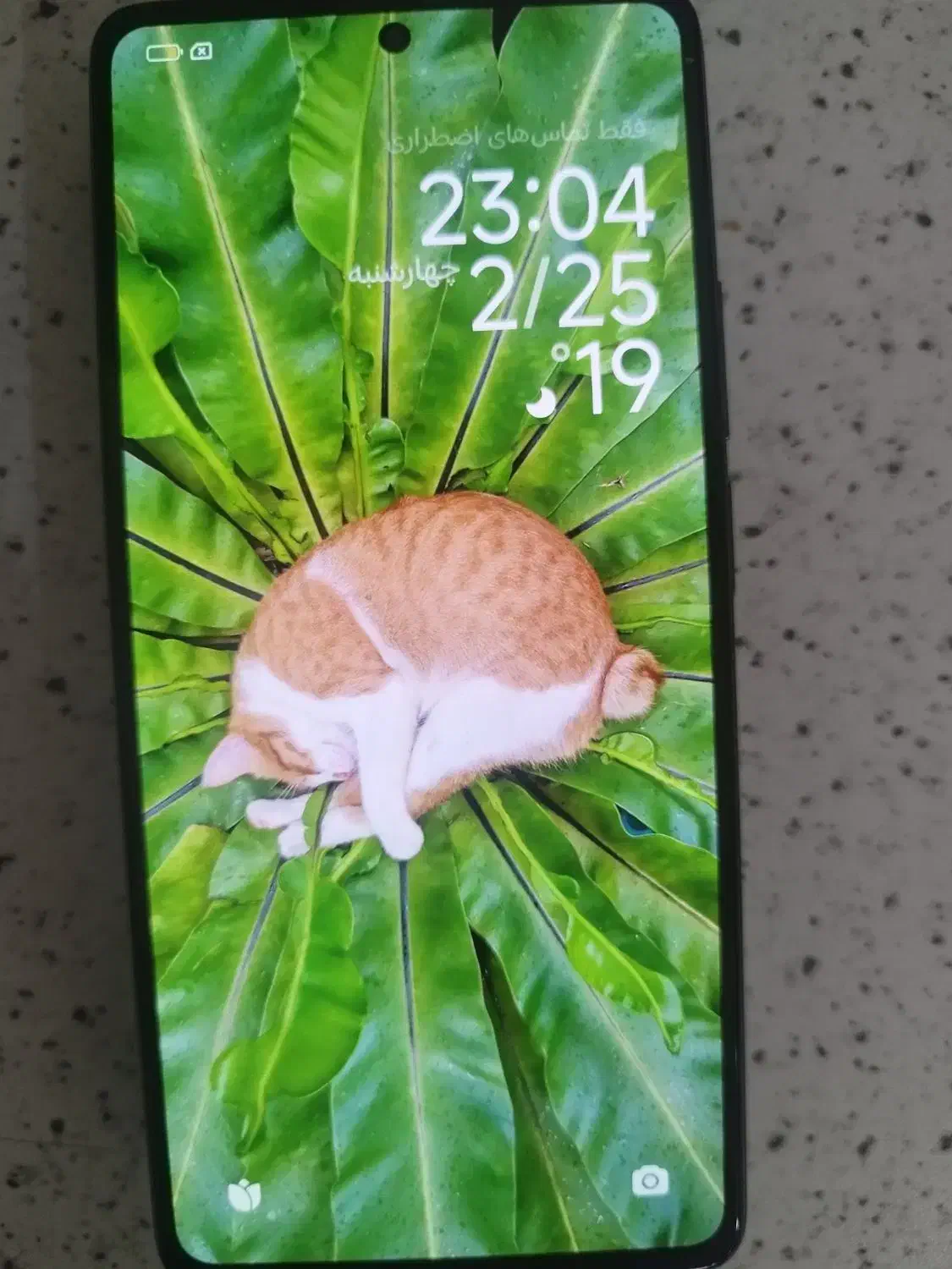 mi 11t por|موبایل|تهران, منیریه|دیوار